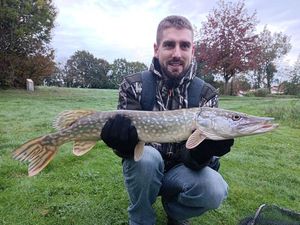 Northern Pike