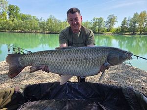 Silver Carp