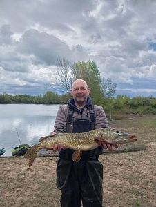Northern Pike