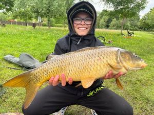 Common Carp