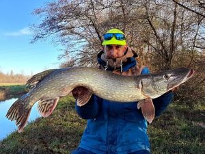 Northern Pike