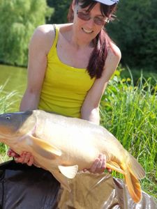 Mirror Carp
