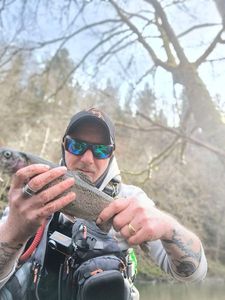 Rainbow Trout