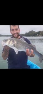 European Bass (Seabass)