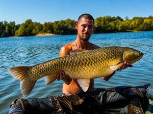 Grass Carp