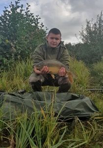 Mirror Carp
