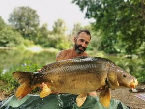 Mirror Carp
