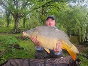 Mirror Carp