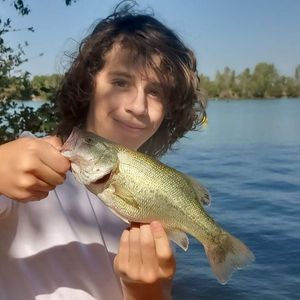 Smallmouth Bass