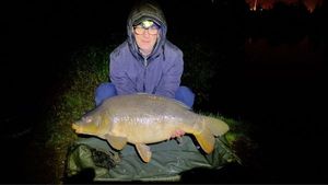 Mirror Carp
