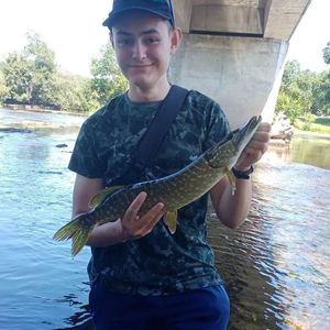 Northern Pike