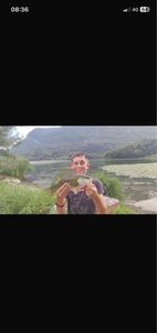 Largemouth Bass