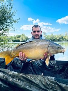 Mirror Carp