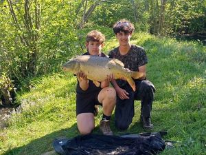 Mirror Carp