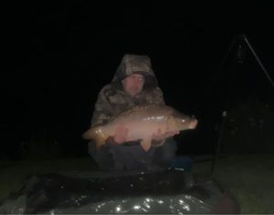 Mirror Carp