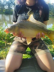 Mirror Carp
