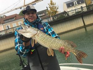 Northern Pike