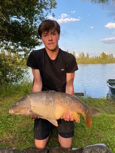 Mirror Carp