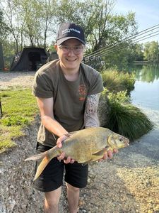 Common Bream