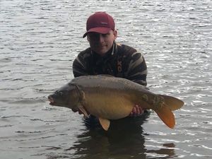 Mirror Carp