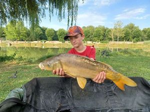 Mirror Carp