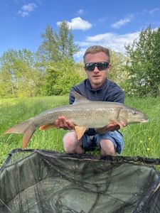 Barbel
