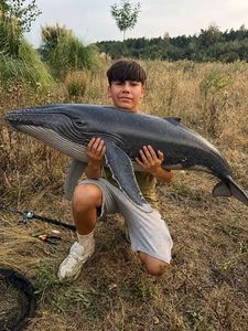 Baleine