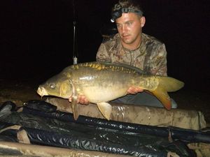 Mirror Carp