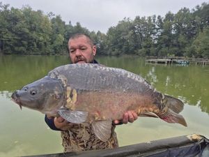 Mirror Carp