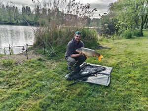 Common Carp