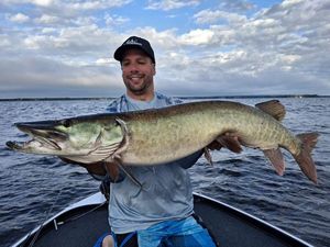 Muskellunge (Musky)