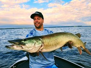 Muskellunge (Musky)