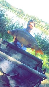 Leather Carp