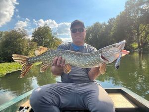 Northern Pike