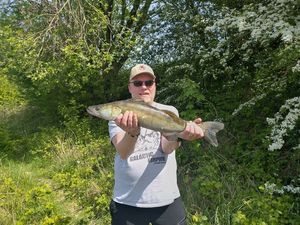 Zander