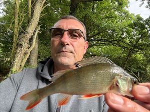 European Perch