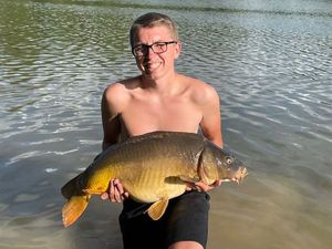 Mirror Carp