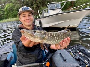 Northern Pike