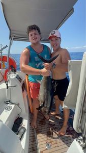 Southern Bluefin Tuna