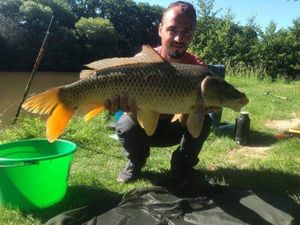 Common Carp