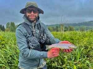Brown Trout