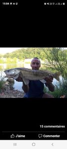 Zander