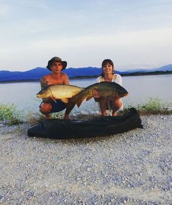 Common Carp
