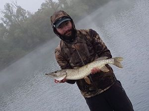 Northern Pike