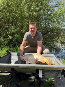 Mirror Carp