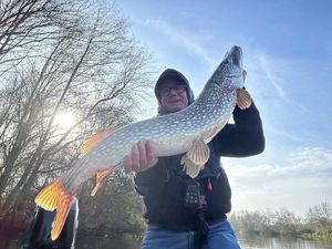 Northern Pike