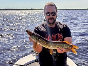 Northern Pike