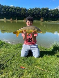 Mirror Carp
