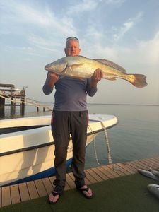 Cassava Croaker