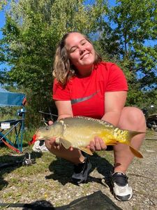 Mirror Carp